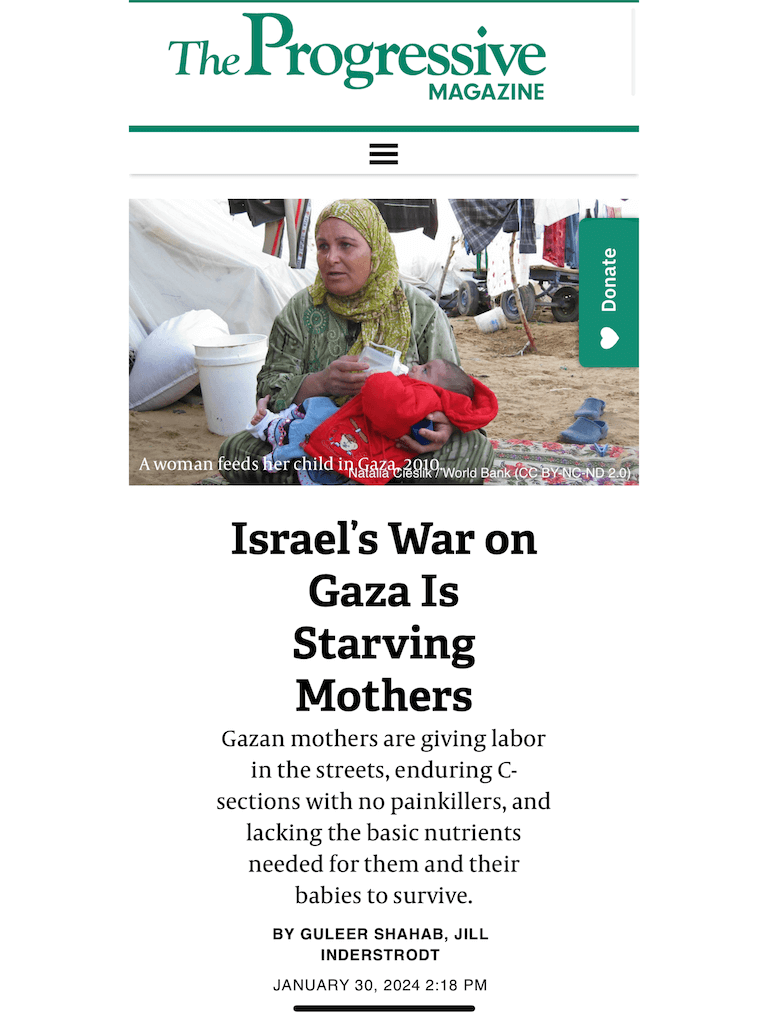 Israel’s War on Gaza Is Starving Mothers